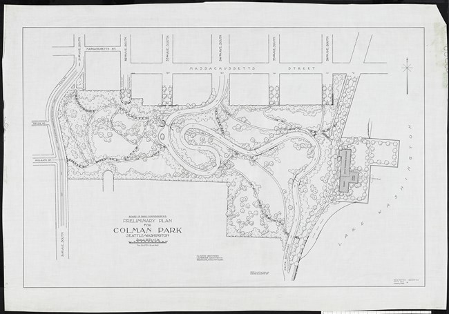 Pencil drawing of park plan with spiral road going through park, many tree plantings, and trees extending past the park into the roads.