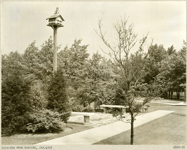Black and white of flat grassy area with dirt paths, trees, benches and a tall birdhouse above the shrubs.