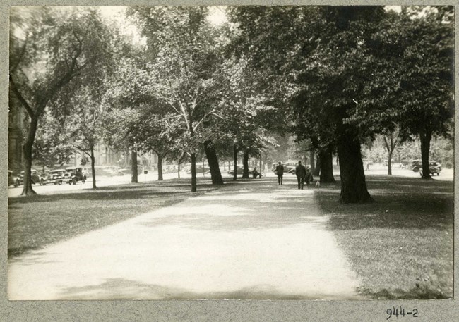 Black and white of dirt path with trees lining the path and some people walking on the path.