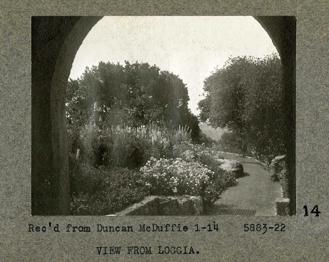 Black and white photograph of arch looking through dirt path with the path lined on all sides by plants and shrubs