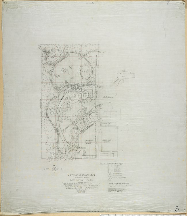 Pencil drawing of rectangular site with curving paths around the site with trees lining them and larger road with leading to buildings with a circular drive in front of the house.