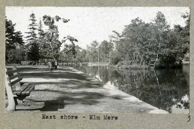 Black and white photograph of grassy area by a flat body of water with wooden benches spread out on one side, with trees sporadically places. There is an island in the water filled with trees.