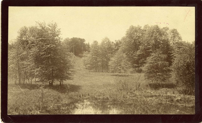 Black and white photograph of grassy hill with trees scattered around it. At the bottom of the hill is a small body of water, like a puddle