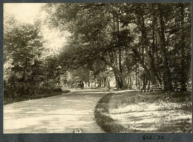 Black and white of road lined with grass and trees and down the road a horse is pulling a carriage.
