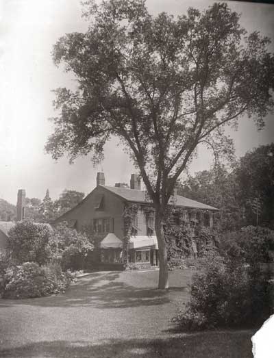 Historic photograph of the Olmsted Elm in Fairsted's South Lawn Historic photograph of the Olmsted Elm in Fairsted's South Lawn