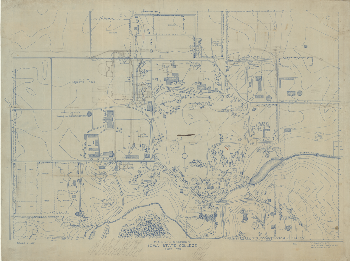 blue pen drawing of plans for college, with curving roads, trees, and topography denoted