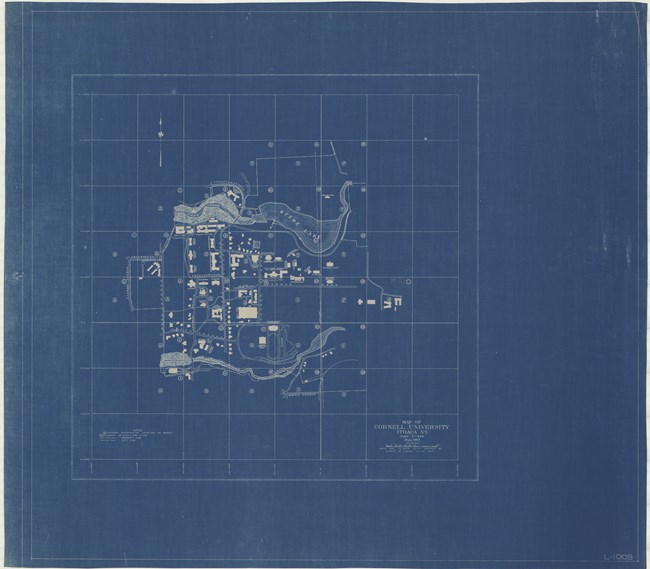 Drawing on blue paper of layout of buildings on a college campus