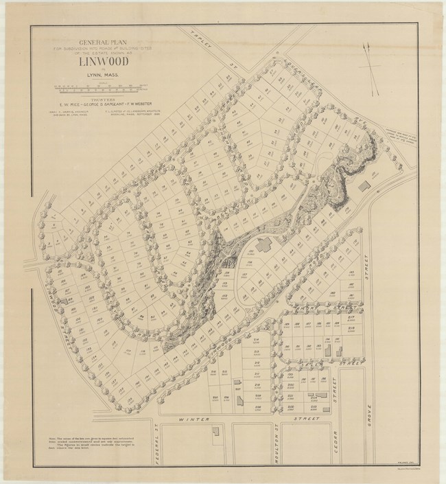 Pencil drawing of community with curving roads lined with trees, a green space going along the street, and lots for homes.