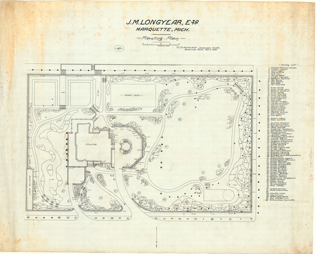 Pencil drawing of square area with several buildings on site, curving roads, and circles with numbers in them for plantings