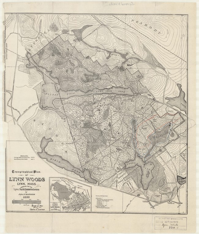 Pencil drawing of wooded area with topographical lines