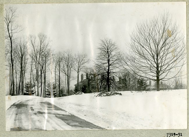 Black and white of driveway leading up to house on sloping hill covered in snow with trees scattered along the road, without leaves.