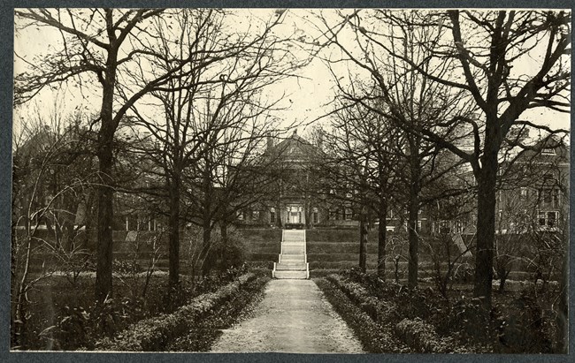 black and white of long road leading to a building lined on both sides by trees.