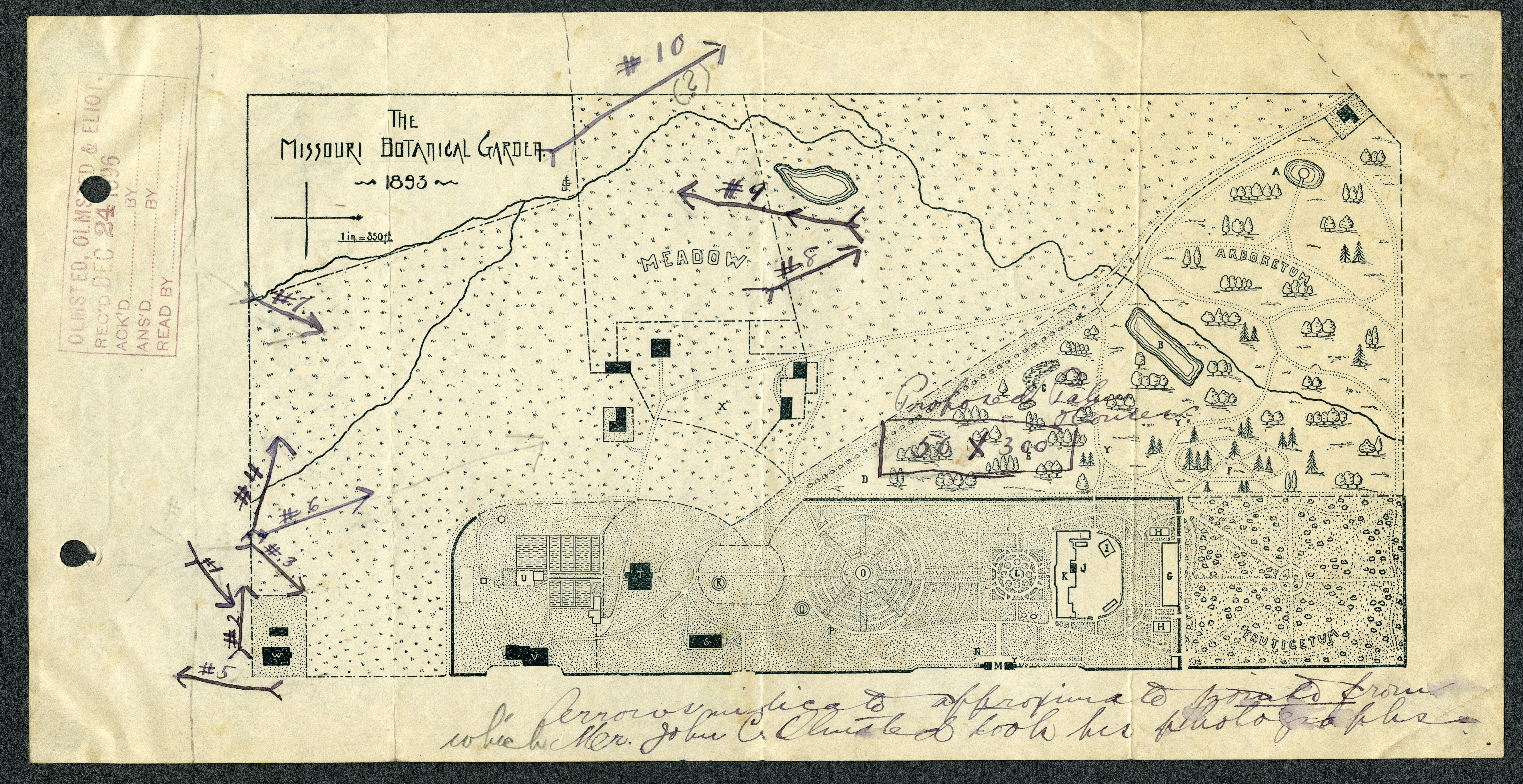 Arboreta and Gardens - Frederick Law Olmsted National Historic Site (U.S.  National Park Service)