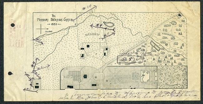 Pencil drawing of arboretum with a meadow, curving paths and arrangements of gardens.