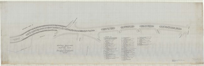 Pencil drawing of long road lined with trees in the middle section and roads fawning out.