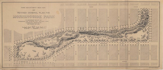Map of long park cutting through gridded city looking like human leg. Park is lined with trees by city edge and has some open space, but is mostly trees and paths.