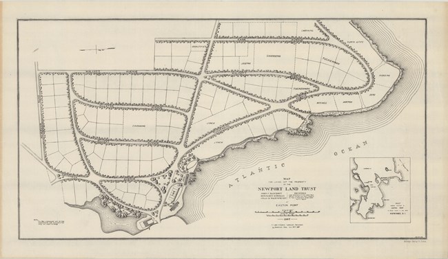 Pencil drawing of community of curved roads lined with trees along the shore of the Atlantic Ocean. In between the roads are square lots for homes.