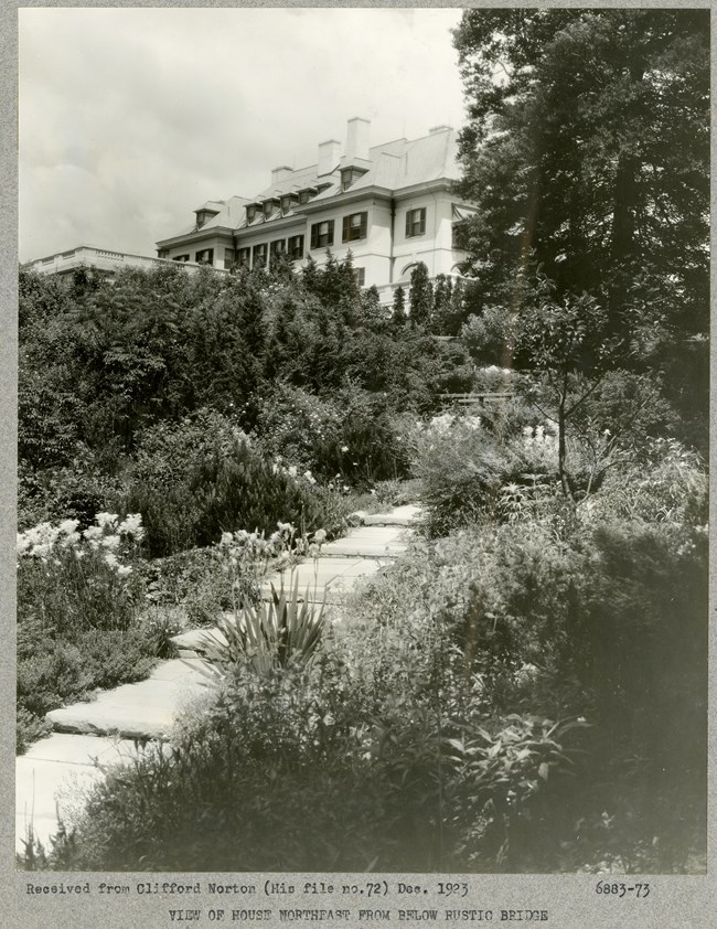 Black and white photograph of stone and dirt steps leading up to a large home. The steps are surrounded on both sides by flowers, plants, and shrubs.