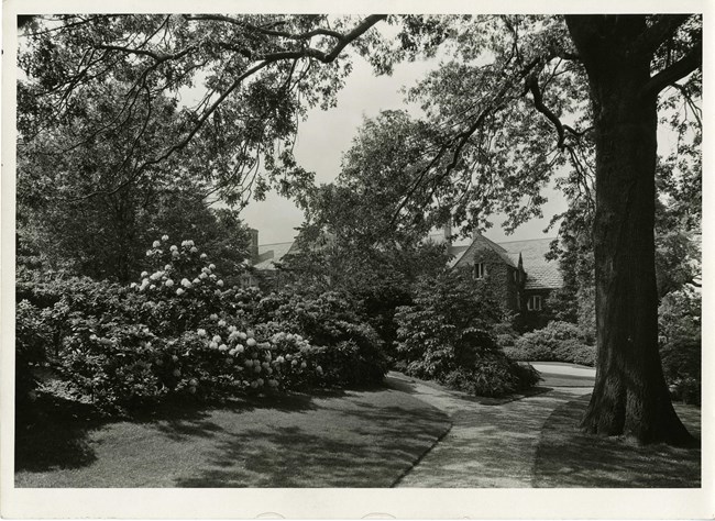Black and white of forking path behind house with dense tree and shrub plantings around path.