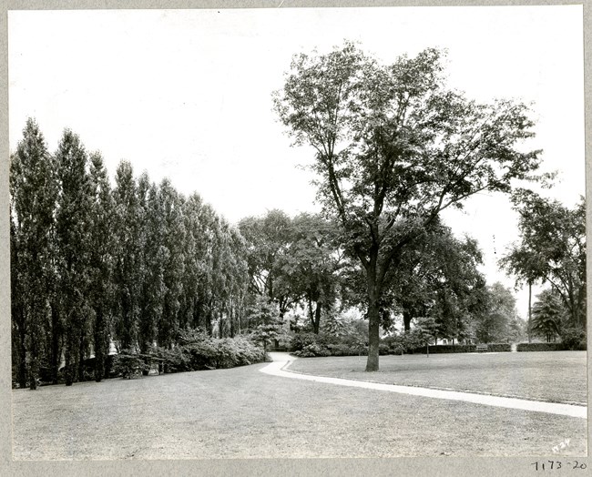 Black and white image of pathway cutting through flat area of grass, with a line of trees along the edge