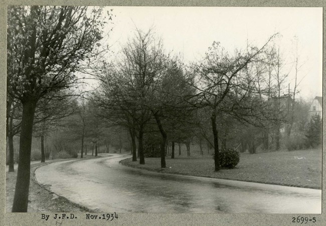 Black and white photograph of road lined with trees with few leaves on them and grass on both sides.