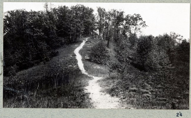 Black and white of skinny dirt path going up grassy hills with many trees on top.