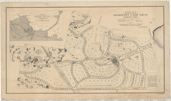 Pencil drawing of community with curving roads, numbered lots, and tree lined roads.