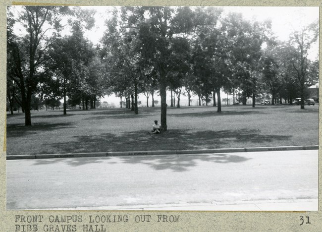 Black and white of flat grassy area with trees spread out and a woman sitting under a tree reading.