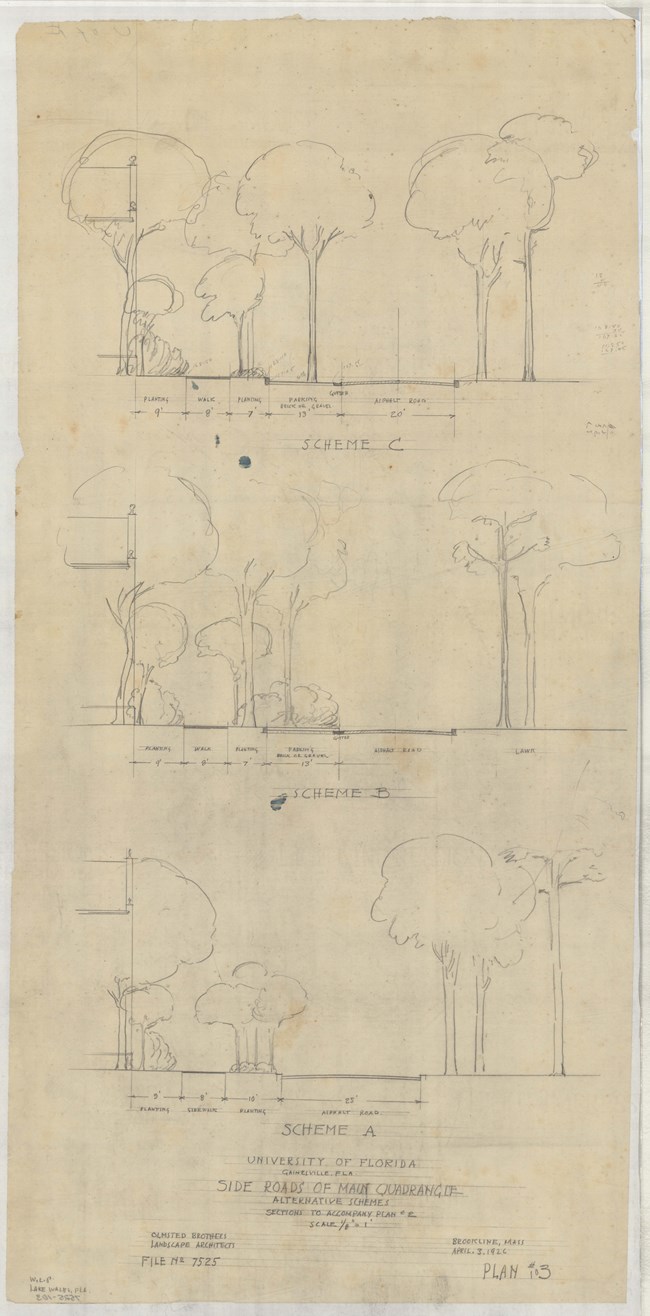 Pencil drawing of trees standing straight up in three different layouts