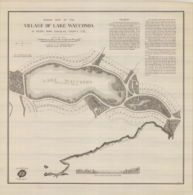 Pencil drawing of community around body of water with lots of homes right up against the water, with trees lining the road, and green space on the ends of the water.