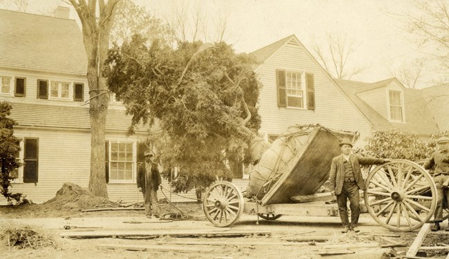 Black and white of large home under construction with two men standing by a wheeled cart with a large tree with its roots in the back of the cart.