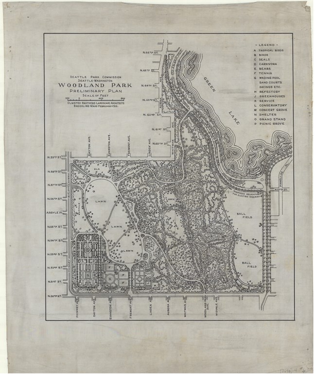 Pencil drawing of rectangular park with long tree lined parkway on top of the park. Straight roads lead up to the park, with many trees in it and curving paths.