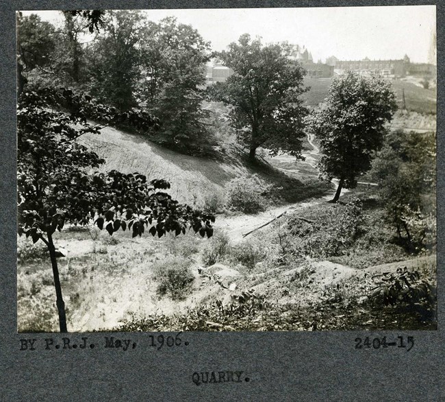 Black and white of dirt road going up a hill with dense plantings on both sides and buildings far in the distance.