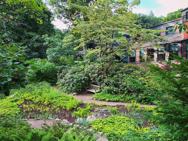 Sunken garden filled with plants, rocks, a bench under a tree and in shrubs, and a house above