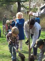 NPS staff, interns, and local students plant a new elm as a crowd watches. NPS staff, interns, and local students plant a new elm as a crowd watches.