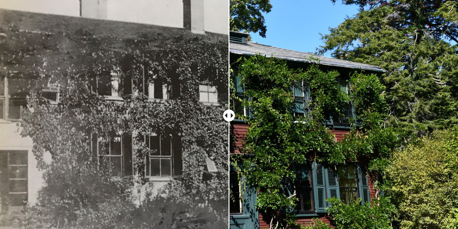 Half image black and white of house, other half of same house in color, red with vines.