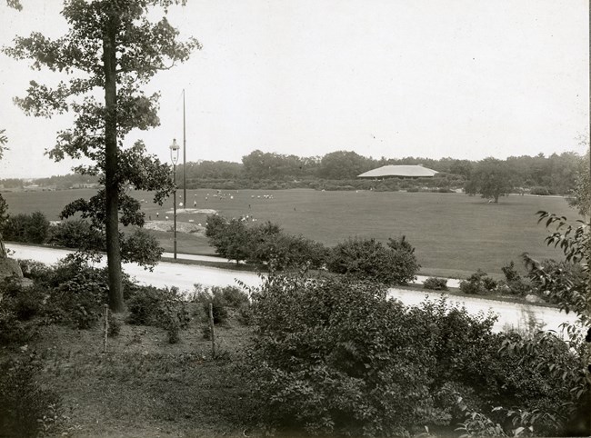 Black and white of large grassy area with trees and rocks on the edge