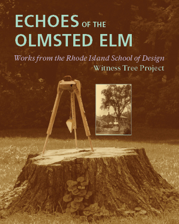 A postcard for the exhibit showing a plumb bob and tripod standing on the stump of the Olmsted Elm as well as a historic image of the Olmsted Elm.