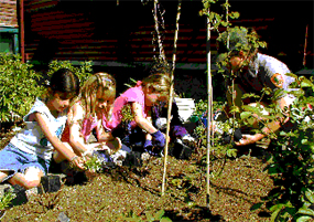 Brownines planting flowers in the Olmsted firm's employee garden