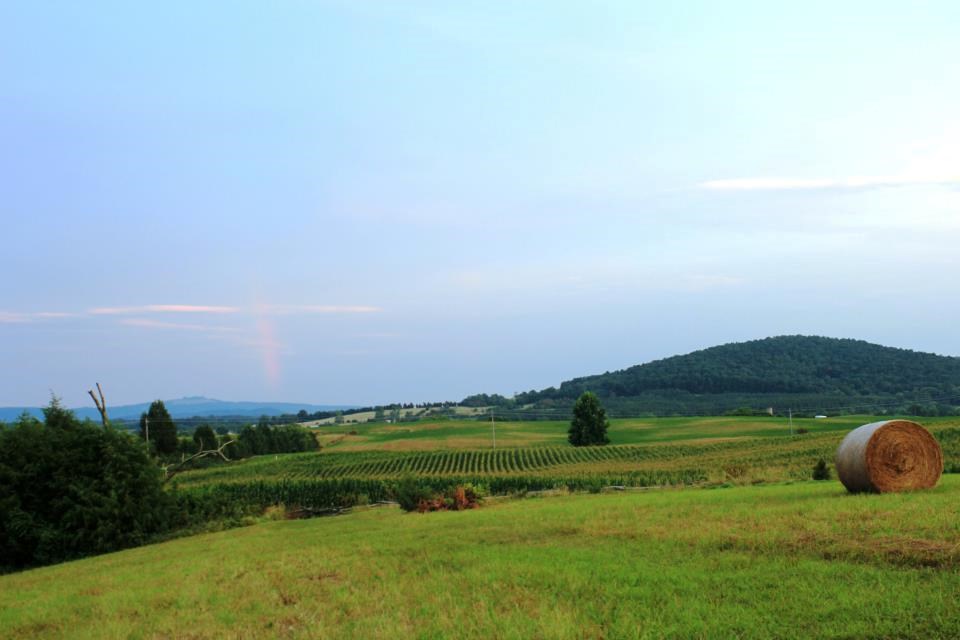 Cedar Mountain Battlefield Cedar Mountain Battlefield