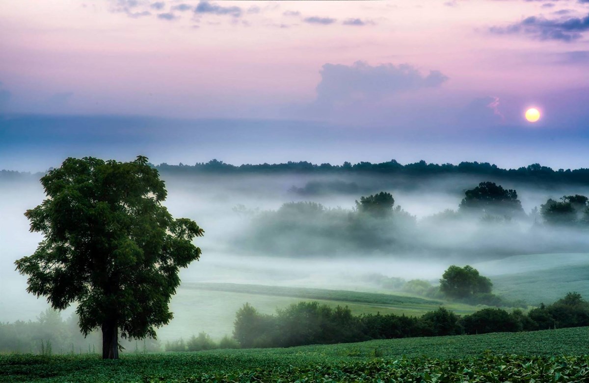 Foggy Scene at Jackson's Flank Attack Fog hanging in folds of ground with green grass and blue and purple sky