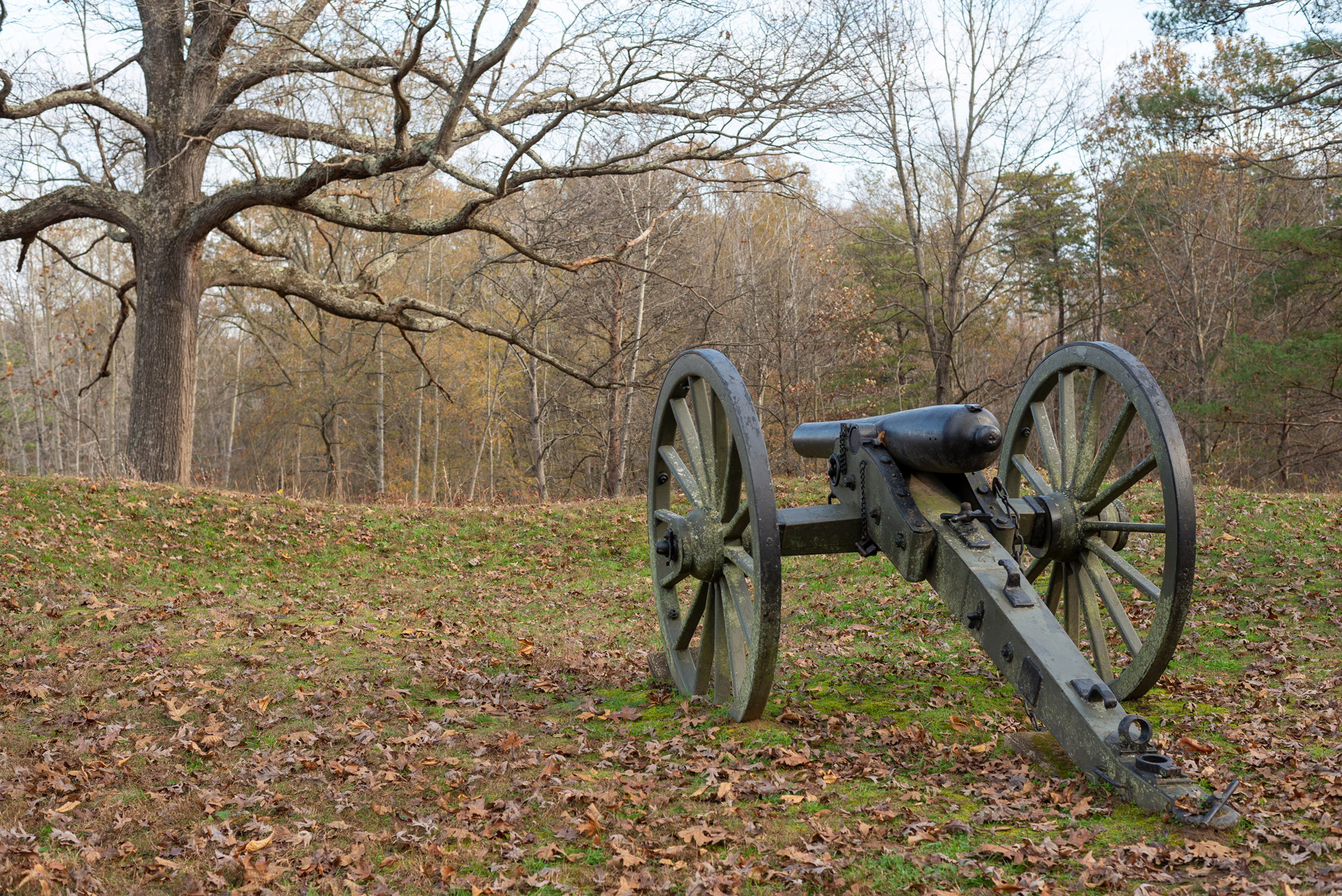 Canon in a field in winter