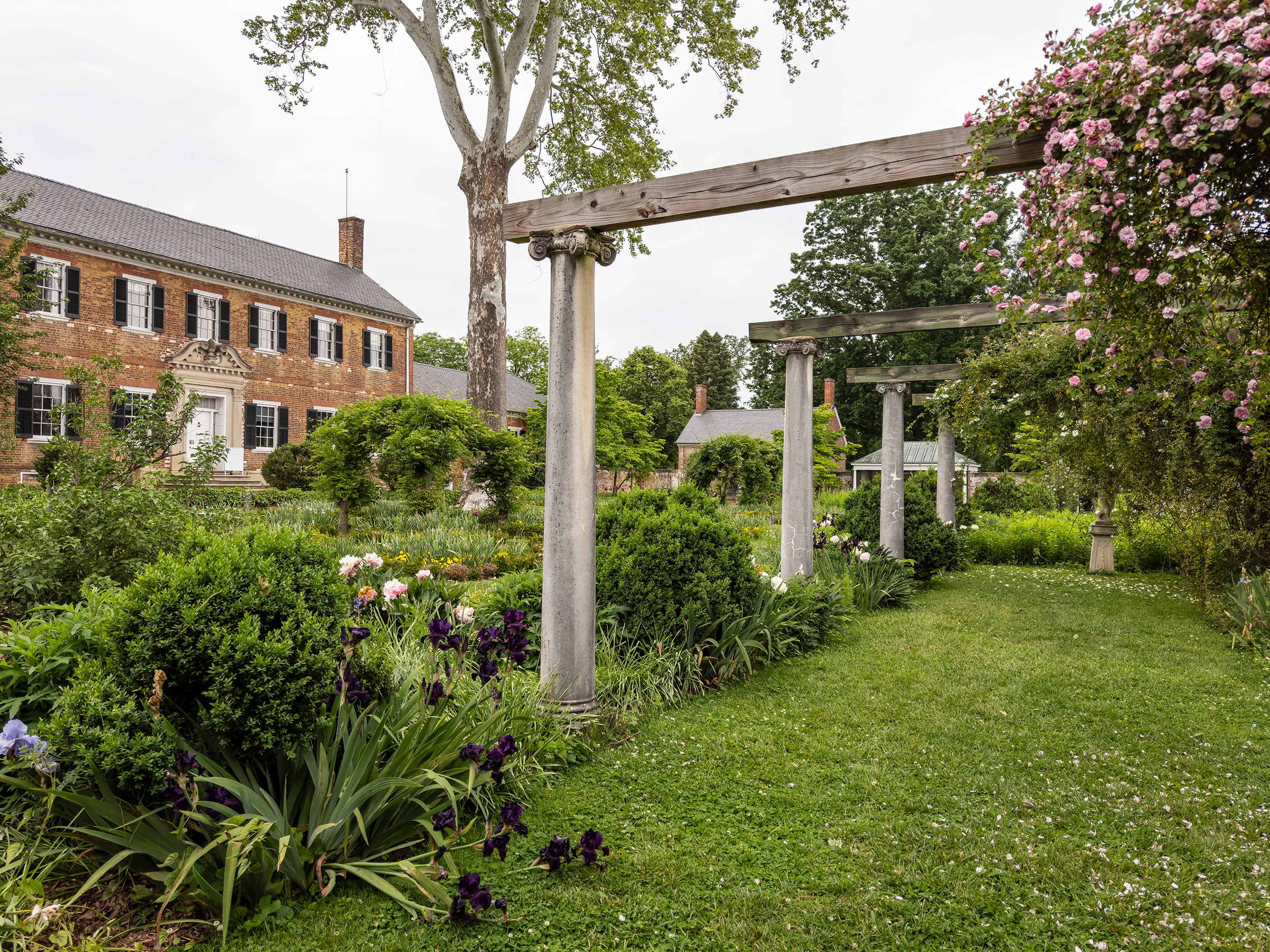 Chatham Spring Garden A lush garden with blooming pink and purple flowers in front of a colonial brick house.