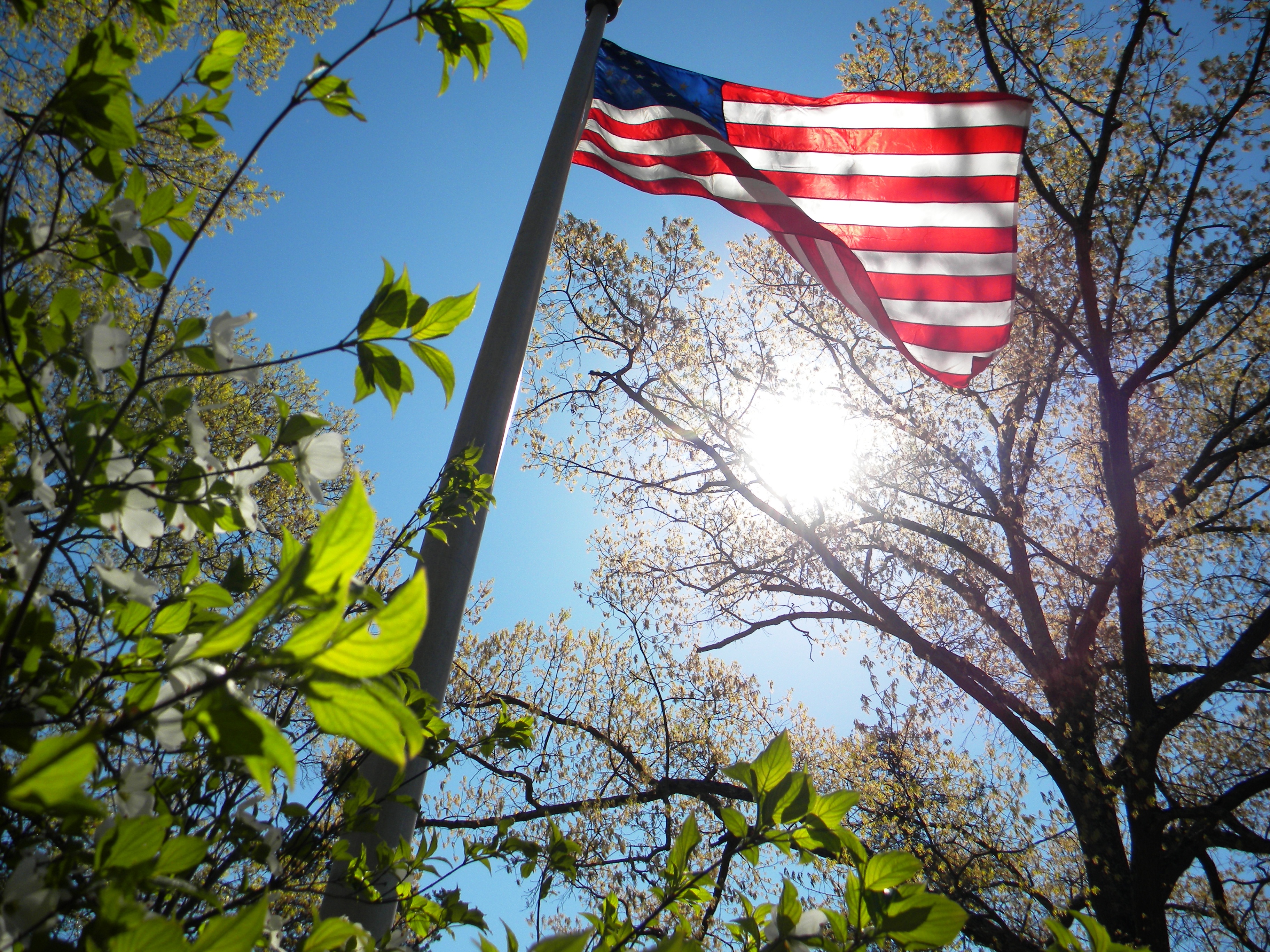 American Flag on a flag pole with trees in foreground and the sun shining through the branches