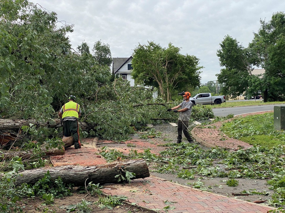 NPS maintenance workers remove downed trees next to the Fredericksburg Visitor Center Two NPS maintenance workers use cables and chain saws to remove a downed tree from the entrance road at the visitor center