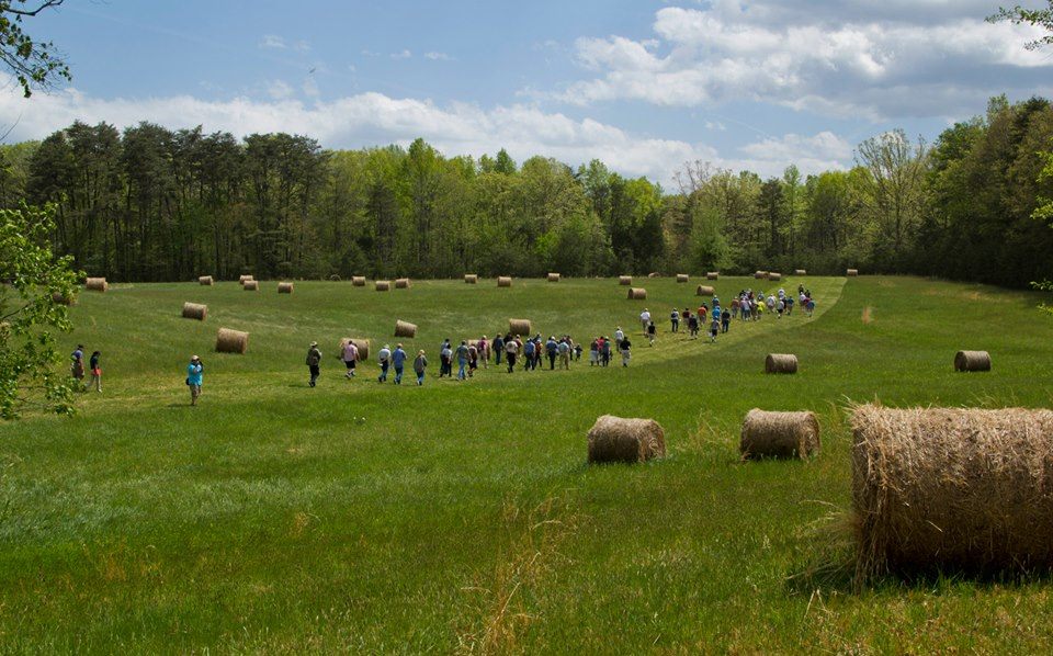 Wilderness Battlefield Hike with Visitors Hikers walking through the Wilderness Battlefield.