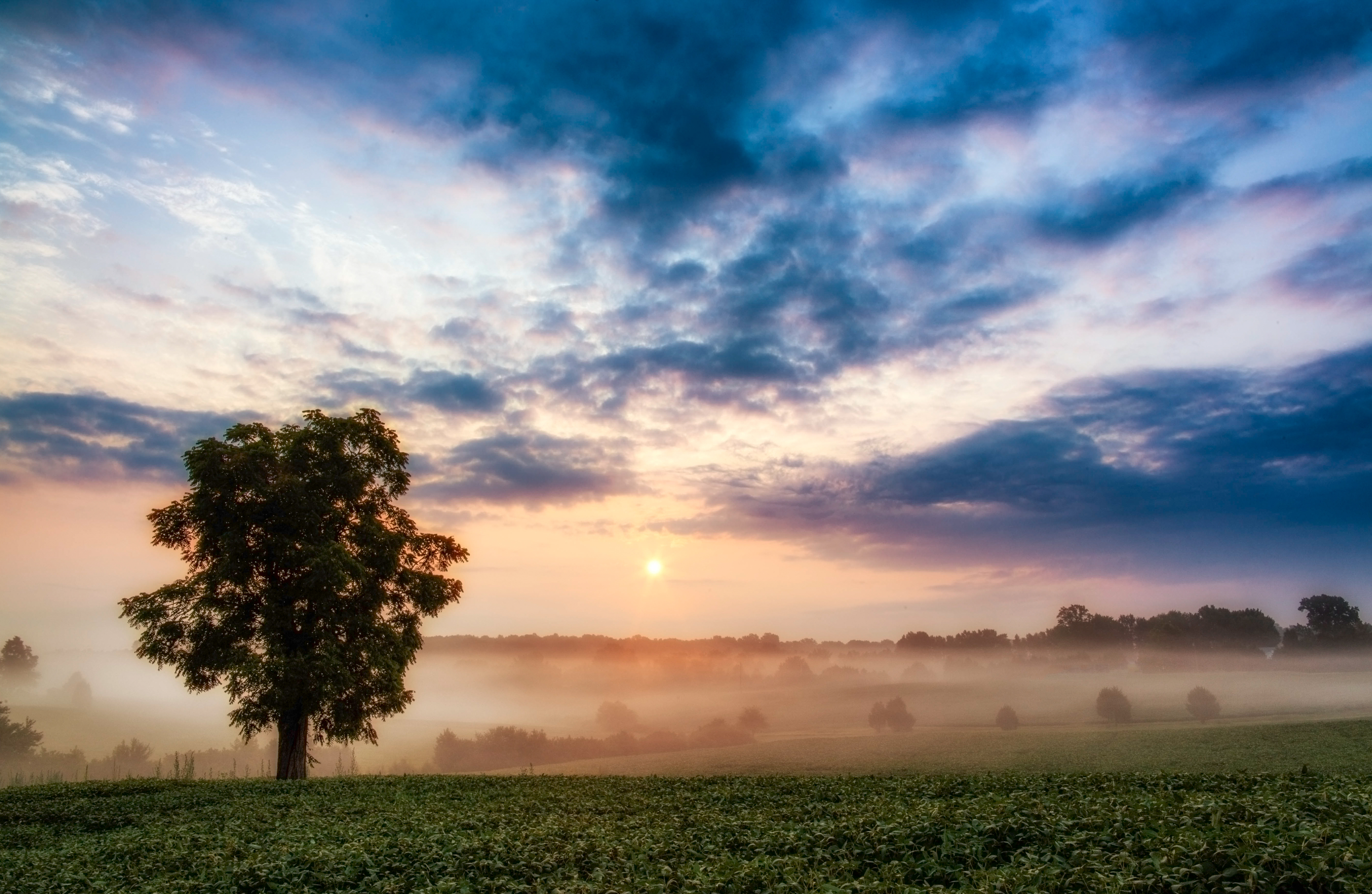 Rolling hills covered in fog at sunrise.