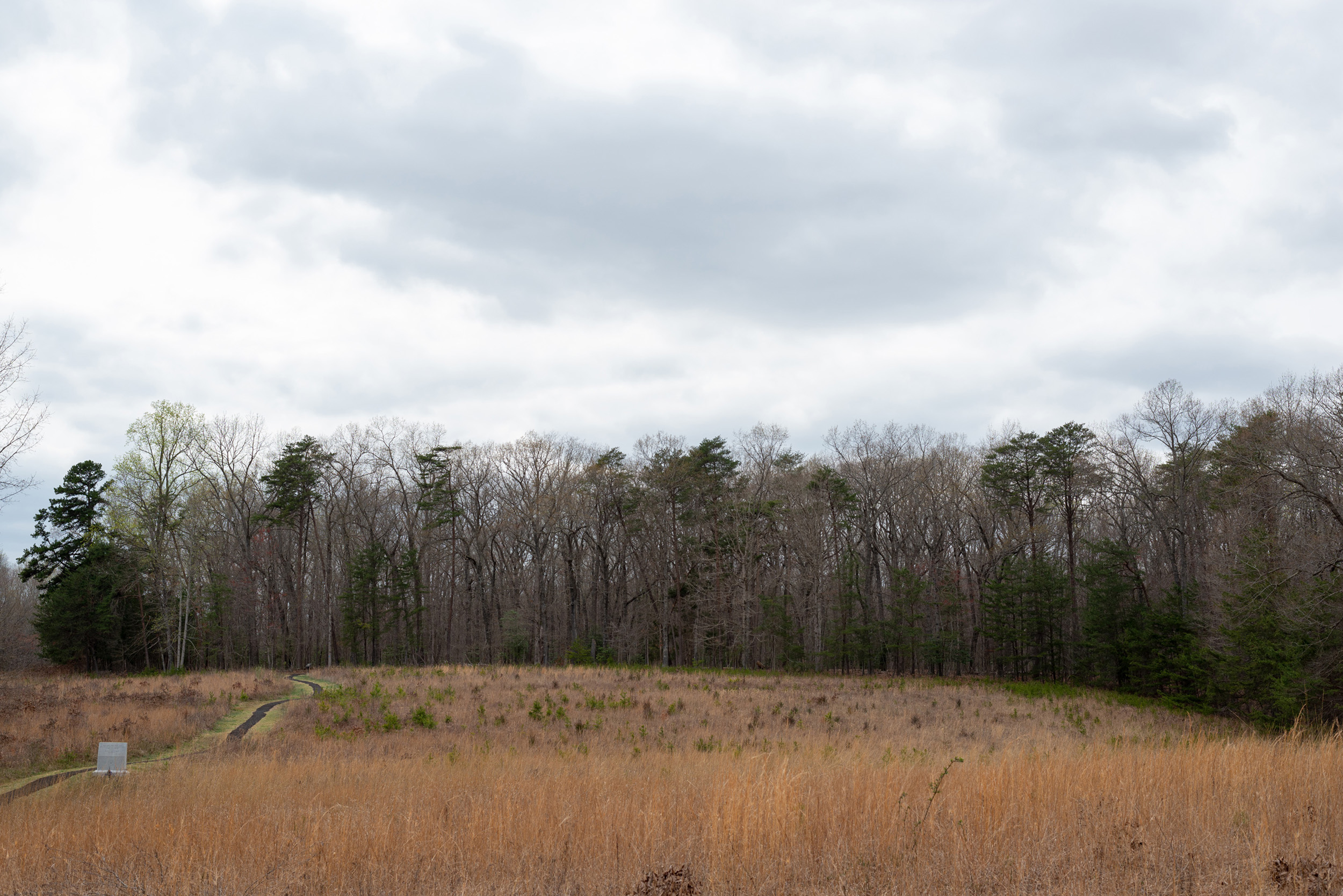 Open rolling fields with a pathway running across it to trees in the distance.