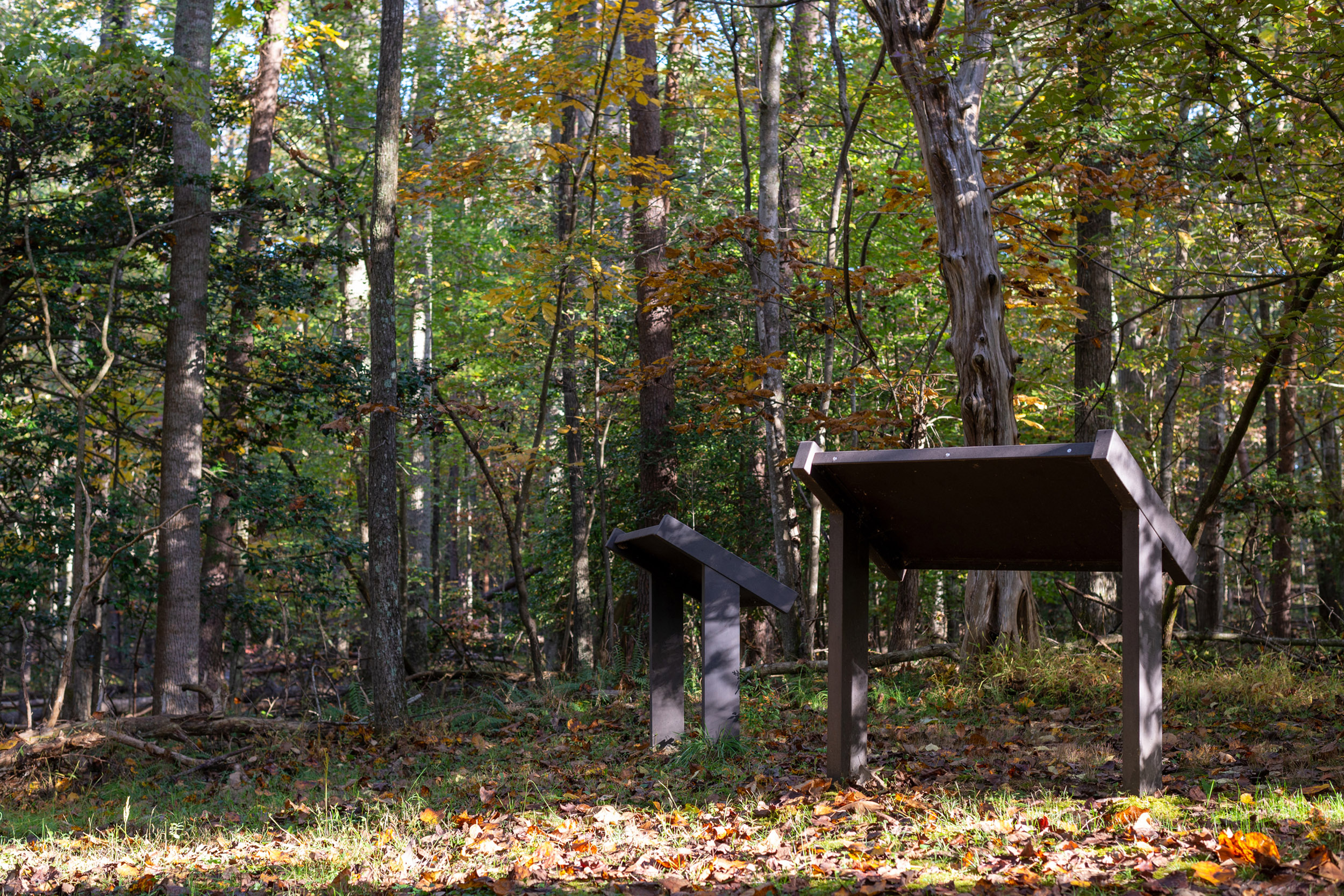 A small clearing surrounded by autumn trees with two wayside signs.