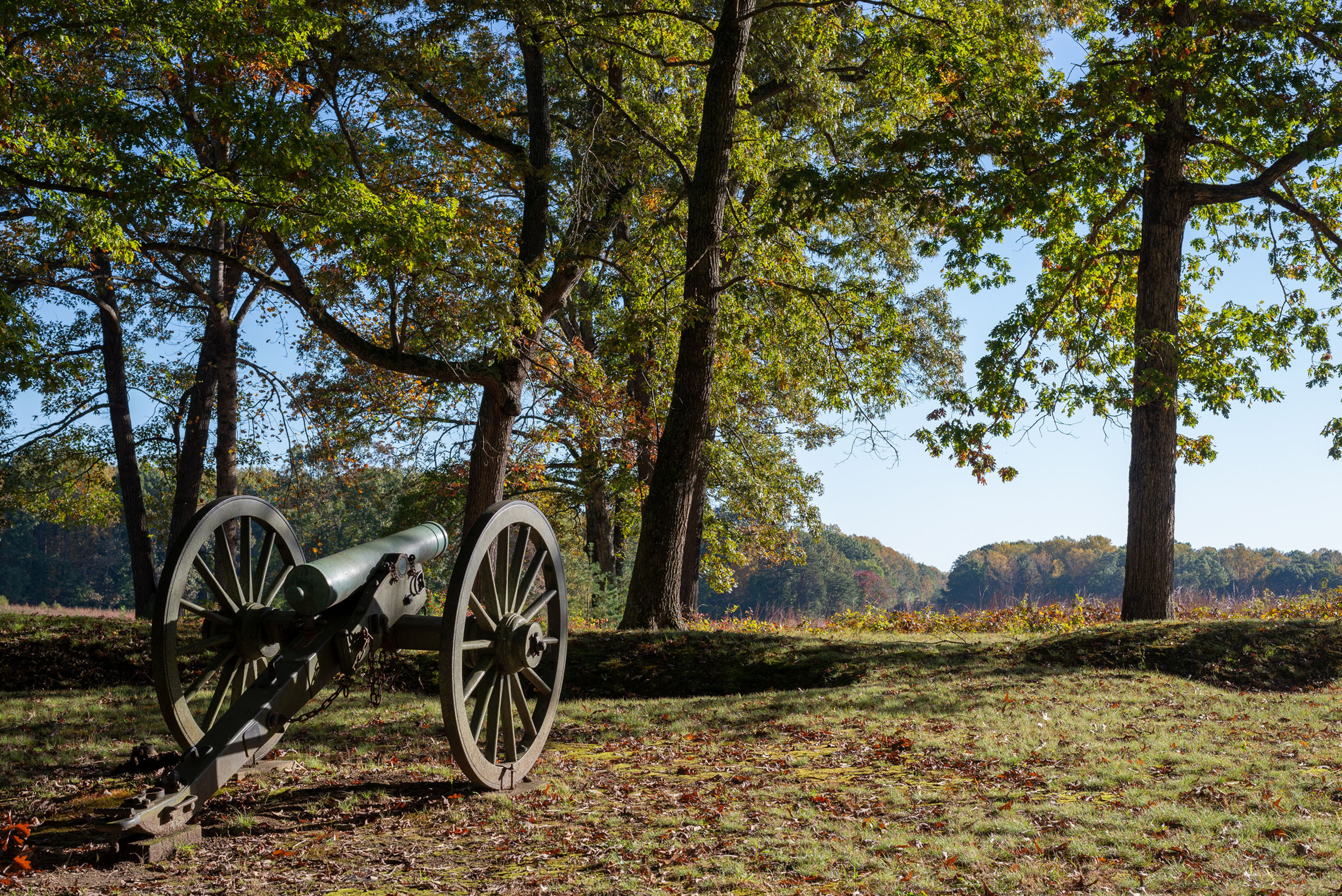 A cannon at the edge of the woods pointed to an open field.